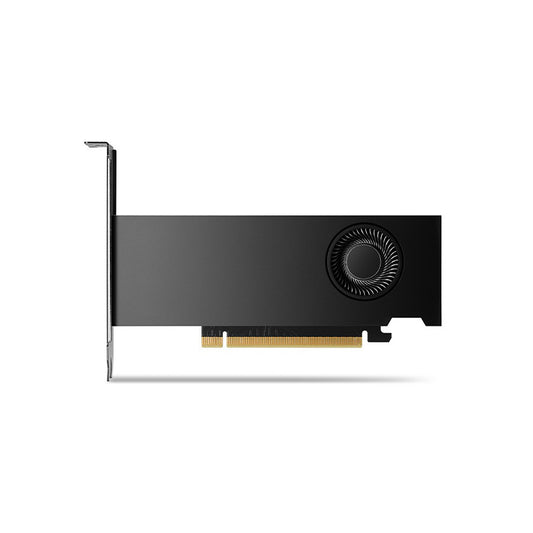 NVIDIA RTX 2000 Ada, 16GB